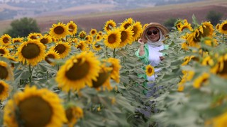 Türkiye'nin sapsarı tarlaları sosyal medyada ''selfie tarlası'' haline geldi