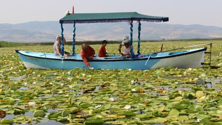 Türkiye'nin alternatif tatil rotası burası oldu: Bunun adı ''nilüfer'' turizmi!