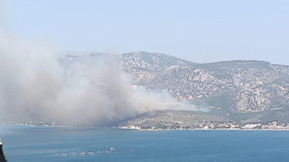 İzmir'de ormanlık alanda yangın