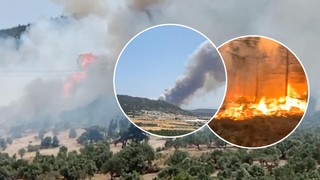 Ege'nin ciğerleri yanıyor! 3 ilde orman yangını: Alevler evlere sıçradı