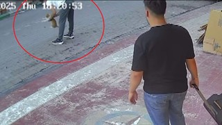 Heimlich manevrası bu sefer de bir kediyi ölümden kurtardı