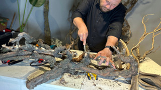 Kurumuş ağaç kökleriyle meslek sahibi oldu, şimdi siparişlere yetişemiyor!