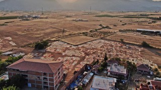 Türkiye'nin en renkli tarlasında gece nöbeti başladı