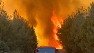 İzmir'deki büyük orman yangını kontrol altında: Geriye bir kül dağı kaldı!