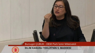 DEM Partili vekil Meclis kürsüsünden Kürtçe beddua etti