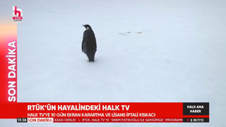 Halk TV RTÜK'e olay tepki: Penguen belgeseli yayınlandı