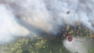 Tatil cennetimizde 3 ayrı noktada orman yangını!