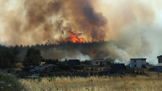 İzmir'de ciğerlerimizi yakan, 3 evi küle çeviren yangının sebebi belli oldu