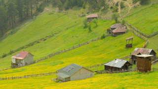 Türkiye'nin kuzeyindeki gizli cennetindeki renk cümbüşü görenleri büyüledi