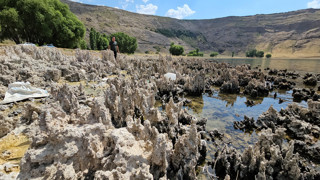 Türkiye'nin kabusun habercisi gizemli tarlası yeniden ortaya çıktı