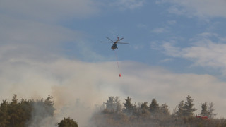 Bakan Yumaklı duyurdu: Yangınlardan 6'sı kontrol altında, 2'si devam ediyor