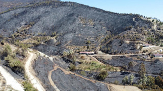 Hatay'ın ciğerleri yandı bitti kül oldu! Yanan alanlar havadan görüntülendi