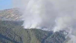 İzmir Ödemiş'teki orman yangınından kahreden haber: 1 kişi hayatını kaybetti