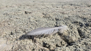 Bir cennet daha yok oldu! Tamamen kurudu