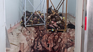 Kurban Bayramı'nda toplamışlar... Bu iğrençliği hepimize yedireceklerdi!