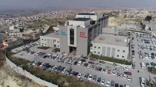 53 yaşında ikiz bebek dünyaya getirdi
