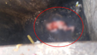Evde dünyaya getirdiği bebeği çöpe attı!
