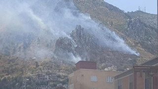 Hatay'da orman yangını! Rüzgarın etkisiyle alevler bir anda yayıldı