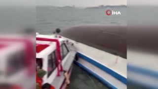 Tur teknesi alabora oldu: Çok sayıda ölü var
