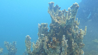 Van Gölü'nün derinliklerinde benzersiz keşif!