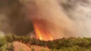 Sakarya'daki yangın Bilecik'e sıçradı! Alev hortumu kamerada...