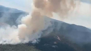 Bir ilde daha orman yangını kabusu