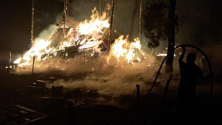 Bilecik'te bir orman yangını daha... Bu görüntüler kahretti!