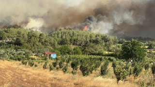 Orman yangınları için ''Hükümet bilinçli yakıyor'' paylaşımına gözaltı