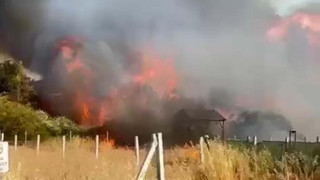 Tarım arazisinde çıkan yangın evlere sıçradı