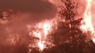 Sakarya'daki orman yangınında alevlerin arasındaki dehşete düşüren anlar kamerada