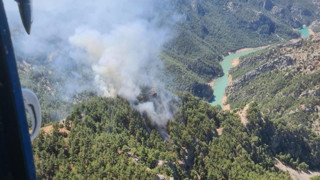 Bir orman yangını daha! Şimdi de Adana yanıyor!