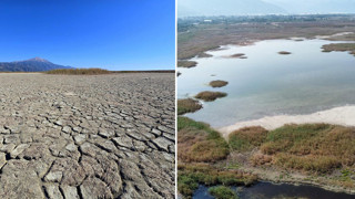 Birkaç hafta önce kuruyan kuş cennetinde şaşırtan manzara
