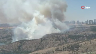 Ankara'da ormanlık alanda yangın
