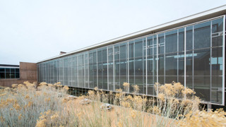 Üniversitenin yurdunda silahlı saldırı: 1 ölü, 1 yaralı