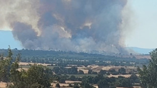 Edirne'de kırmızı alarm! Bulgaristan'daki orman yangını sınırımıza dayandı