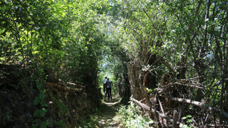 Türkiye'nin eşsiz doğasıyla dikkat çeken gözlerde uzak yemyeşil cenneti drone ile görüntülendi