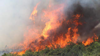 Bursa'da alevler yeniden yükseldi