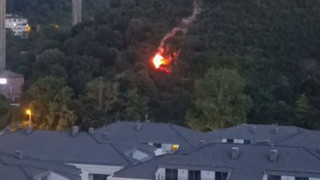 İstanbul Valiliği'nden Beykoz yangını sonrası yeni yasak kararı geldi!