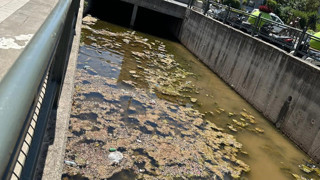 Türkiye'nin tatil cennetinden mide bulandıran görüntü