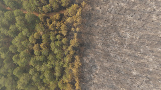 ''Yeşil Bursa'''yı karanlık bir cehenneme çeviren yangının boyutu ortaya çıktı