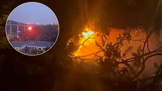 Beykoz'da işaret fişeğiyle ormanı yaktı; savunmasıyla ''pes'' dedirtti!