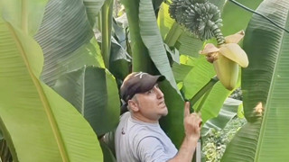 Karadenizli vatandaşın inadı ''yok artık'' dedirtti! İki yıl sonra bir mucize gerçekleşmek üzere!