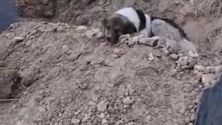 Mezar başındaki vefa nöbeti tüm Türkiye'yi ağlattı...