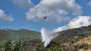 Tekirdağ'da makilik alanda orman yangını çıktı