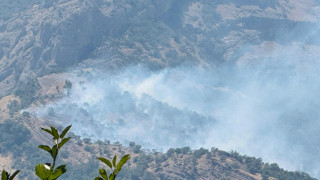 Bir orman yangını daha... Alevler kısa sürede büyüdü