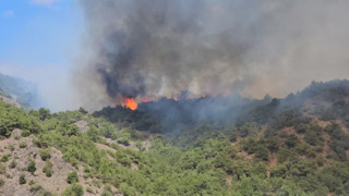 Tokat'ta orman yangını