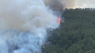 Karabük'te orman yangını: Alevler yerleşim bölgesine yaklaştı