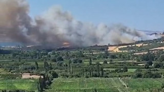 Çanakkale'de bir orman yangını daha: Lapseki yanıyor!