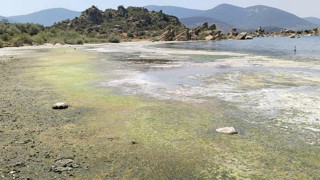 Yürek yakan manzara: Mavi ile yeşilin buluştuğu cennetimiz cehenneme döndü!