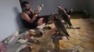 Türkiye'nin yabancı uyruklu ''avlanması yasak kuş hırsızı'' yakalandı!